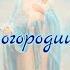 Богородица дева радуйся Сорадение Поток Богородица