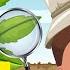 La PLANTA Y Sus PARTES Para Niños Función De Las Plantas
