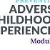 Preventing Adverse Childhood Experiences ACEs Online Training Module 1 Lesson 1