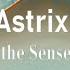 12 30AM Party Astrix DJ High Guy Chaos Astrix Faders Rave Mix Shon Wall Shakin PsyTrance Dance