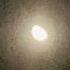 Moonlight Subscribe