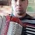 доброе утро аккордеонист песня гармония баян слушать Music Accordion