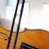 Violoncello Da Spalla Just Strung And Played