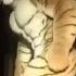 Macan Brat