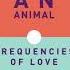 Frequencies Of Love Pegasus