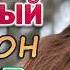 ЛЮБИМЫЕ ДАЧНЫЕ ПЕСНИ ХОРОШИЕ ПЕСНИ ДЛЯ КЛАССНОГО НАСТРОЕНИЯ