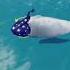 HOW TO FLY ON Be A Silly Seal