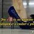 Ombré Leather Tom Ford Верхняя нота Кардамон средние Кожа и Жасмин Самбак база Амбра Мох и Пачули