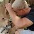 Lion Tackle Me Lion Deanschneider Wildlife