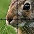 Epic Rabbit Hunting They Never Saw Me Coming