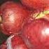 MACUPA FRUITS