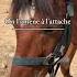 Vloggg Cheval Poney Trend Equitation Horse Equestrianjourney