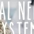 Neuroanatomy S1 E1 Intro To The Central Nervous System Neuroanatomy Science Medicine Brain