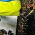 ВОЙНА ДЕНЬ 279 КРЫМ БУДЕТ ОСВОБОЖДЕН ЧЕРЕЗ ПОЛГОДА ВРАНЬЕ ПРОПАГАНДЫ ПРО БАХМУТ МОБИЛИЗАЦИЯ