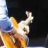 Eric Clapton Rock Me Baby RAH 23 5 2015