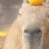 Capybara Gets Hype Phonk Edit