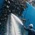 Is Your Ship S Sea Growth Problem Costing You THOUSANDS Every Year Ship Cleaning Barnacles
