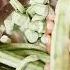Msale Wali Turai Margal So Yum Comment Plz Recipe Chahiye To Comment Kijiye