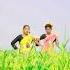 Hey Hello Rani Hey Rani Shortvideo Sanchitadasofficial666 Trending Viral Youtubeshorts