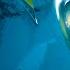 Portal 2 Full Game