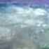 ALEX M O R P H Walk The Edge Armin Only 2008