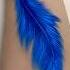 Blue Feather Realistic Art