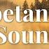 8 HOURS Sound Bath With Tibetan Singing Bowls Deep Sleep Relaxation Sound Healing Vibes