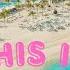 Resorts World At Bimini Island Is It Worth The Hype