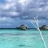 Tropical Islands In Maldives And Positive Beach Bossa Nova Music 2025