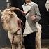 FEARLESS EXOTIC GOAT LOVER MOHAMMED BHAI MOHAMMED BHAI HAQSE BAKREBAAZ QURBANI GOAT COLLECTION