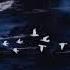Free For Profit Sad Lil Peep Type Beat Anywhere But Here
