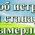 Видео Библия Пятая книга Моисеева Второзаконие Глава 2 читает Н Козий