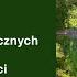 Impakty Ciał Kosmicznych W Dziejach Ludzkości