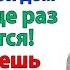 Экскурсия старых кошелок в мой дом У меня не богадельня невестка и свекровь истории рассказы муж