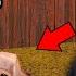 Gua BIKIN RUMAH Buat ANJING Ini TAPI ADA YANG ANEH Doghouse 1 2