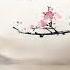 Relaxing Chinese Music Bamboo Flute 1