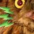 Can Rescuers Save This Owl From Being Tangled Up In Fishing Line Dodo Kids Rescued