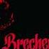 Brecher1312 Neue Masche