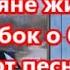 Армянка спела песню на азербайджанском языке