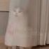 Metodista Jesus Gospel Guaratingueta Amor Culto Cats Viralshorts Crente Deusnocomando