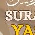 Surah Yasin By Sheikh Ali Jaber Reflecting On The Prophetic Legacy