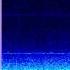 Blue Whale Song