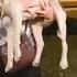 Woman Brings Home A Grateful Pittie She Found By The Highway The Dodo