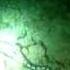 MOV58 UW Sea Snake At Night Maluku