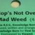 First World Mad Weed