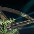 50 Nightfarer Secrets In Elden Ring Nightreign