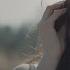 Lost Frequencies Feat Janieck Devy Reality Official Video HD