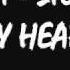 Starlit Story In My Heart