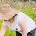 Thunder Bolt And Lightening Very Very Mid Summer FARM TOUR Australian Flower Farmer Florist