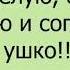 Я свою ласково называю зайка моя рыбка моя птичка моя А она что А она уши растопырила